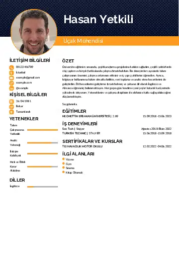 Havacılık Ve Uzay Uçak Mühendisi Cv Örnekleri cv indir